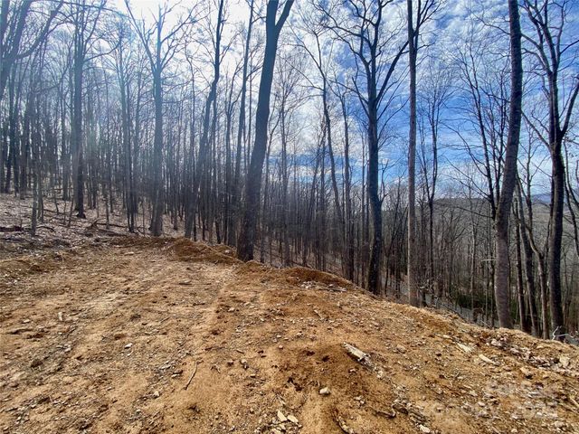 TBD Old chestnut mountain Road, Newland, NC 28657