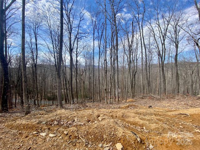 TBD Old chestnut mountain Road, Newland, NC 28657