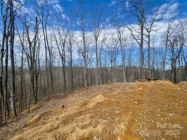 TBD Old chestnut mountain Road, Newland, NC 28657