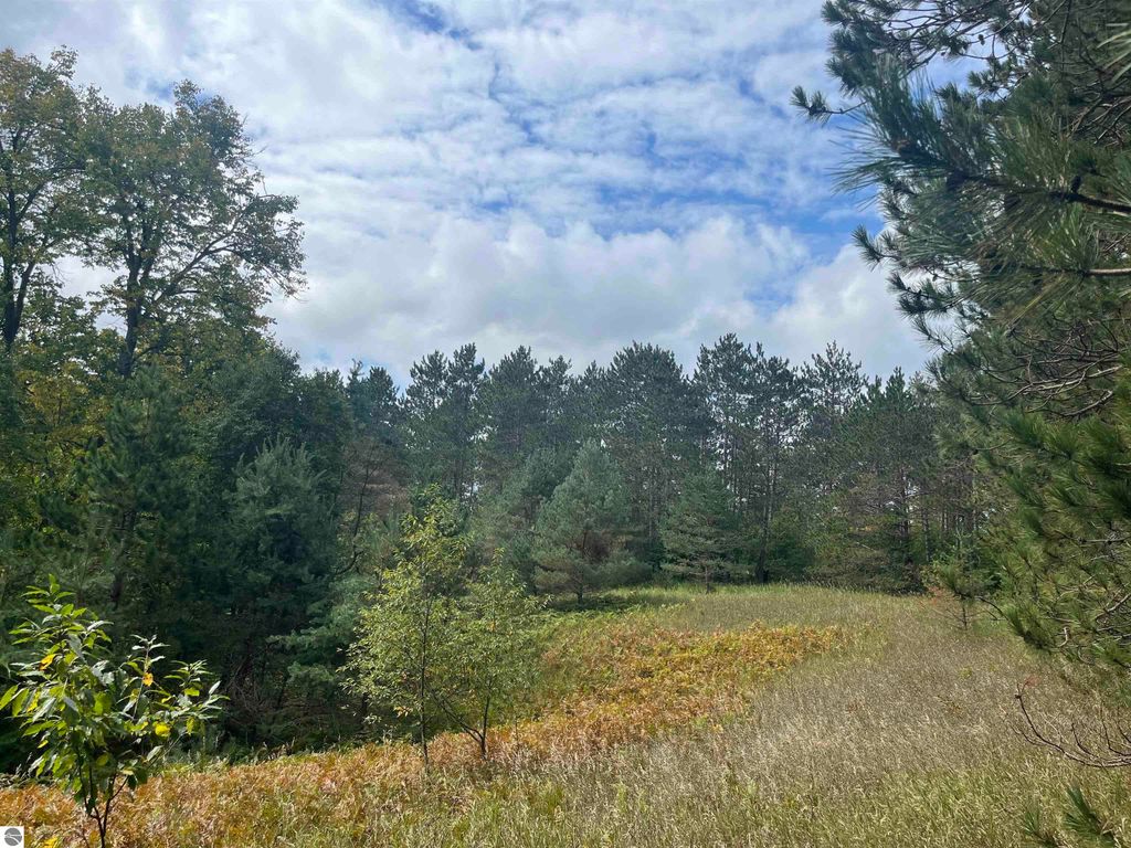 Image 13 of property listing at Maple City Highway, Lake Ann, MI 49650