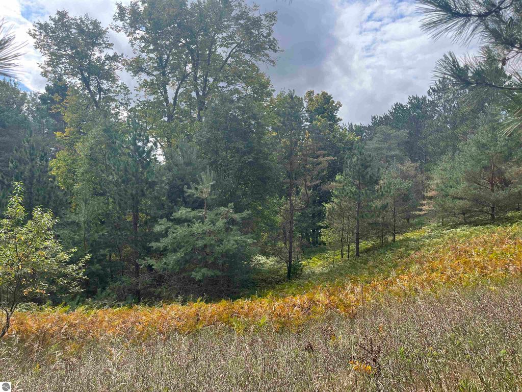 Image 14 of property listing at Maple City Highway, Lake Ann, MI 49650