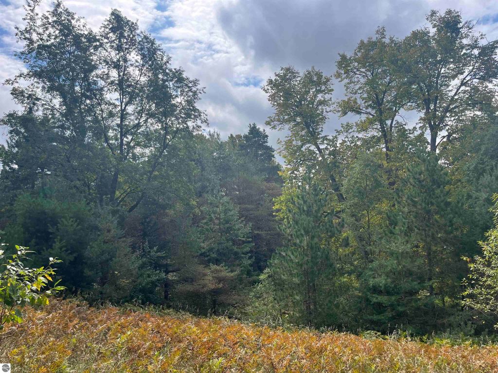 Image 15 of property listing at Maple City Highway, Lake Ann, MI 49650