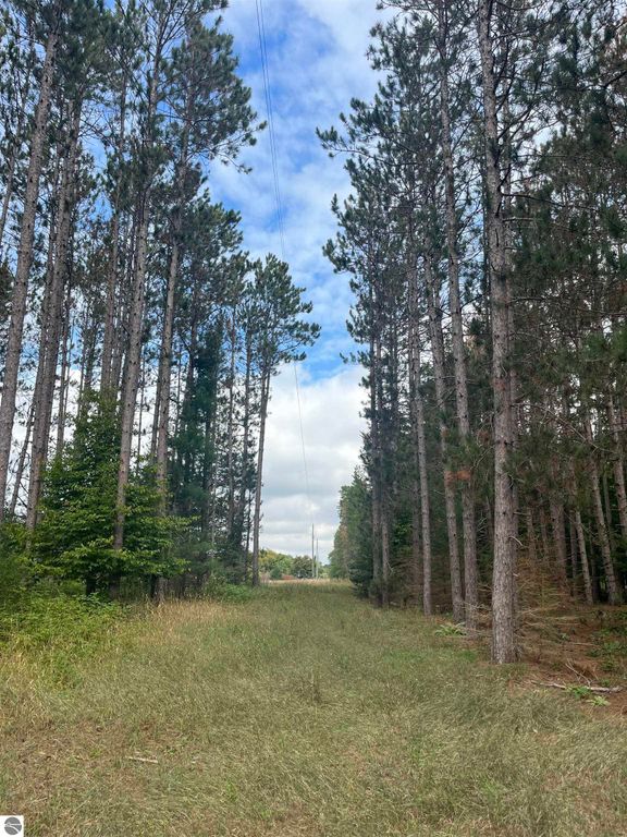 Image 17 of property listing at Maple City Highway, Lake Ann, MI 49650