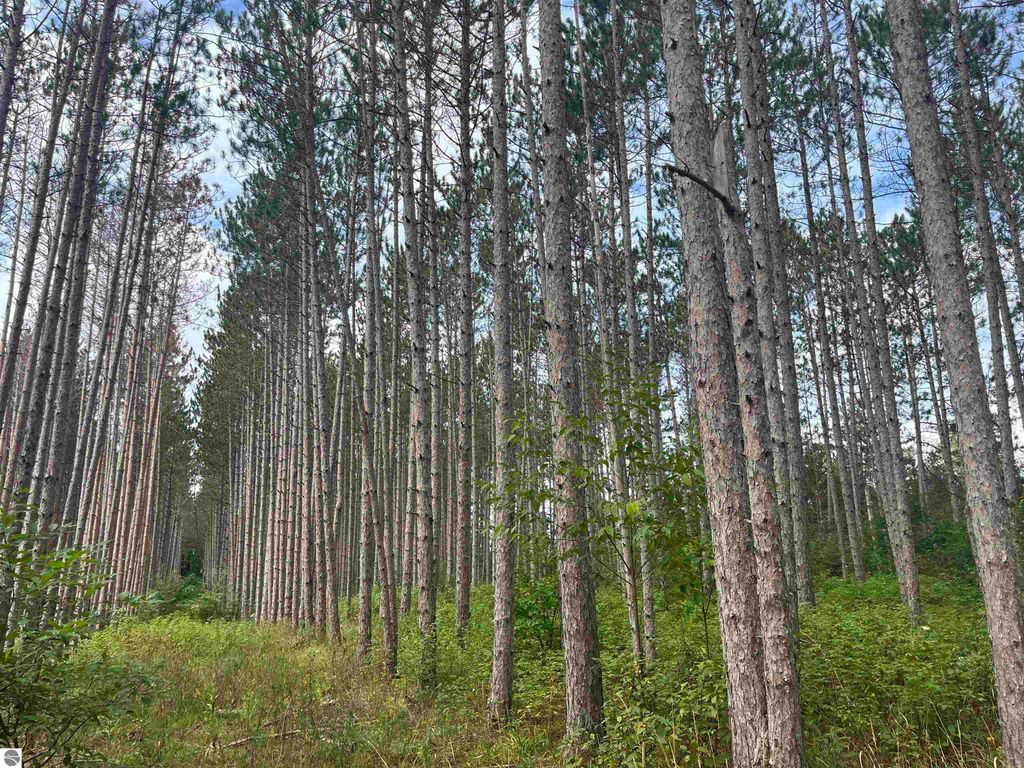 Image 18 of property listing at Maple City Highway, Lake Ann, MI 49650