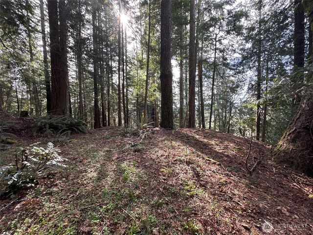 3692 E State Route 106, Union, WA 98592