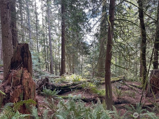 3692 E State Route 106, Union, WA 98592