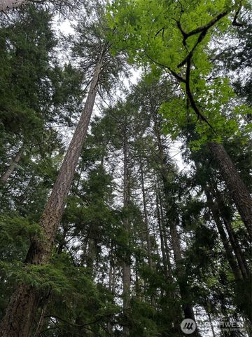 3692 E State Route 106, Union, WA 98592