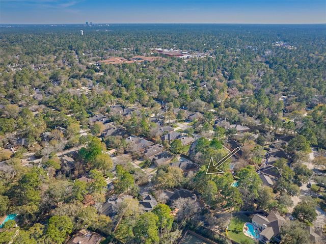 87 W Honey Grove Place, The Woodlands, TX 77382