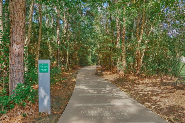 87 W Honey Grove Place, The Woodlands, TX 77382