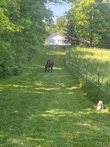 1521 Tracy Drive, Spafford, NY 13152