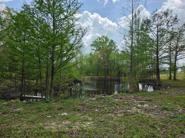 17811 Puckett Rd, Alexander, AR 72002