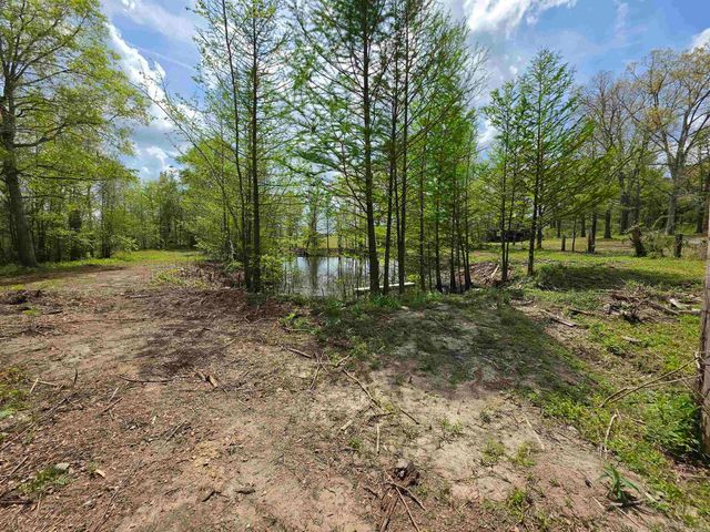 17811 Puckett Rd, Alexander, AR 72002