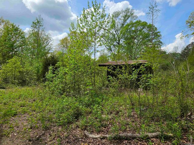 17811 Puckett Rd, Alexander, AR 72002