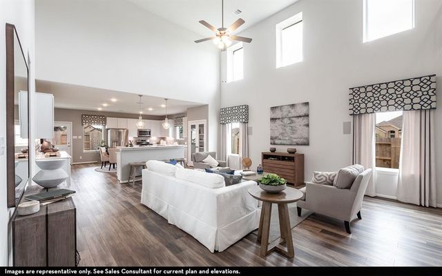 21715 Amalias Drive, Hockley, TX 77447
