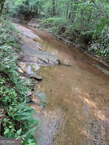 404 Blue Store Road, Forsyth, GA 31029