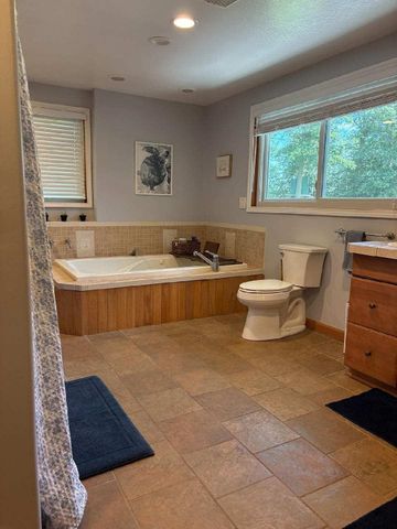 1417 E Weidman Road, Rosebush, MI 48878