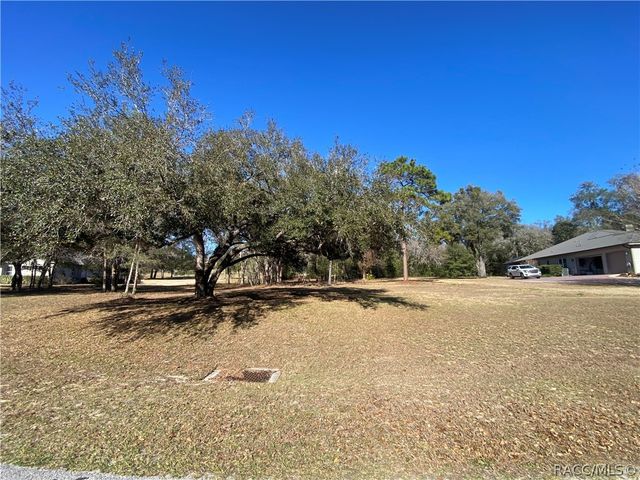 3834 W Black Diamond Circle, Lecanto, FL 34461