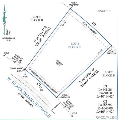 3834 W Black Diamond Circle, Lecanto, FL 34461