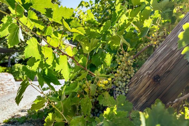 3000 Sheep Ranch Rd, Murphys, CA 95247