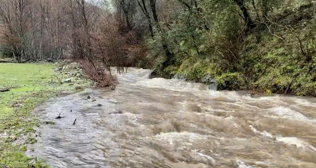 3000 Sheep Ranch Rd, Murphys, CA 95247