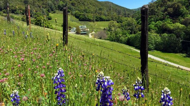 3000 Sheep Ranch Rd, Murphys, CA 95247