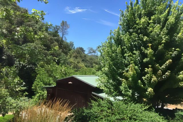 3000 Sheep Ranch Rd, Murphys, CA 95247