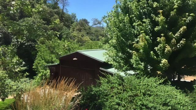 3000 Sheep Ranch Rd, Murphys, CA 95247