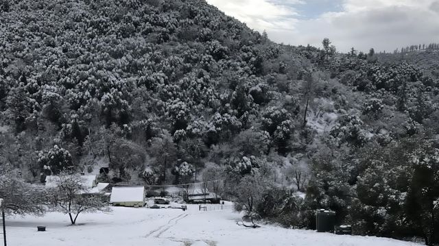 3000 Sheep Ranch Rd, Murphys, CA 95247