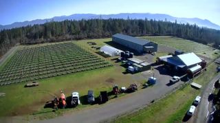3160 Rockydale Road, Cave Junction, OR 97523