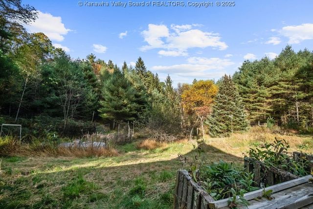 1359 Gordon Dilley Road, Marlinton, WV 24954