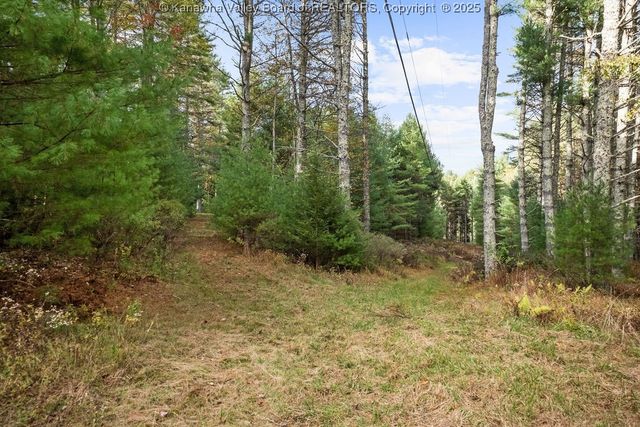 1359 Gordon Dilley Road, Marlinton, WV 24954