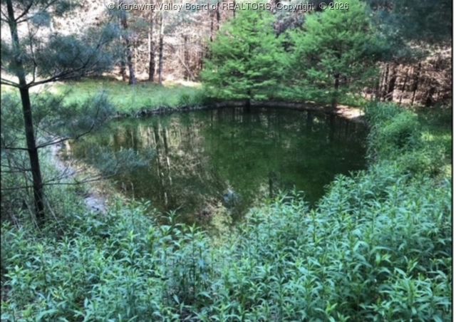 1359 Gordon Dilley Road, Marlinton, WV 24954