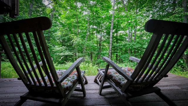 78 Coopers Trace, Plymouth, VT 05056