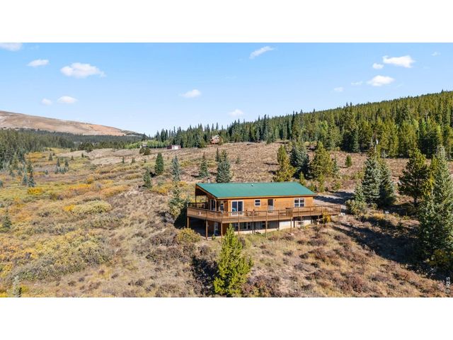 162 S Silk Sisters Pl, Fairplay, CO 80440