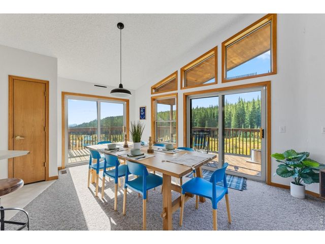 162 S Silk Sisters Pl, Fairplay, CO 80440