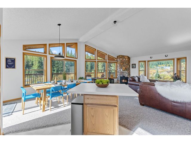 162 S Silk Sisters Pl, Fairplay, CO 80440