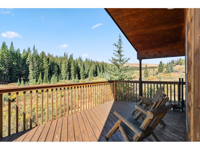 162 S Silk Sisters Pl, Fairplay, CO 80440