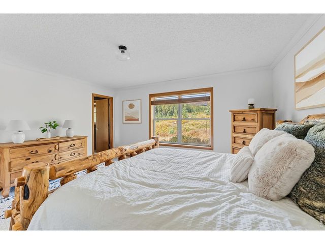 162 S Silk Sisters Pl, Fairplay, CO 80440
