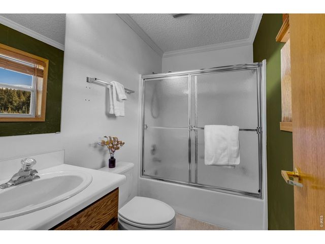 162 S Silk Sisters Pl, Fairplay, CO 80440