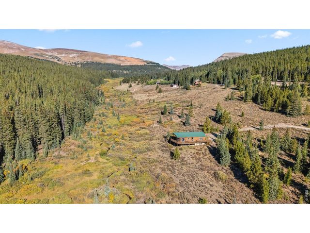 162 S Silk Sisters Pl, Fairplay, CO 80440