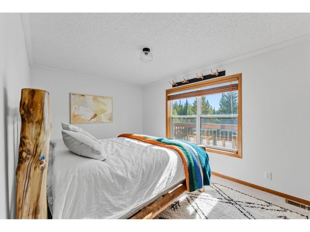 162 S Silk Sisters Pl, Fairplay, CO 80440
