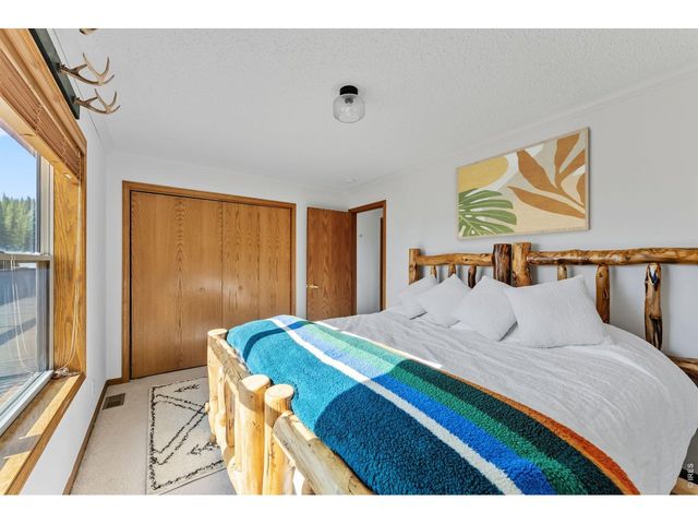 162 S Silk Sisters Pl, Fairplay, CO 80440