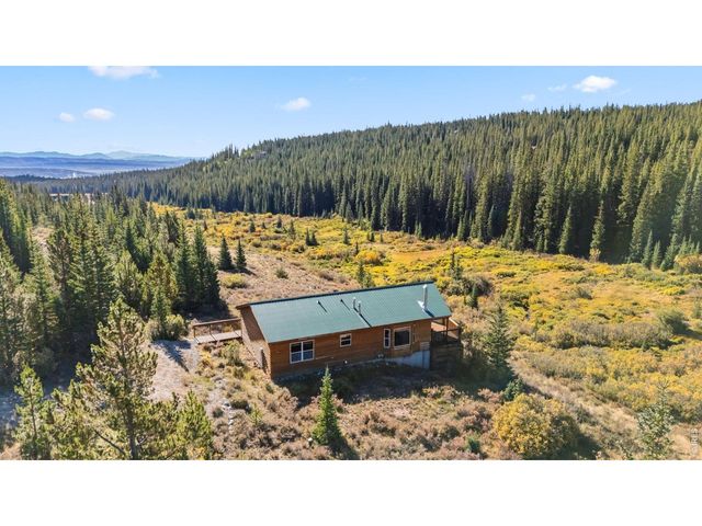162 S Silk Sisters Pl, Fairplay, CO 80440