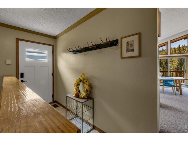 162 S Silk Sisters Pl, Fairplay, CO 80440