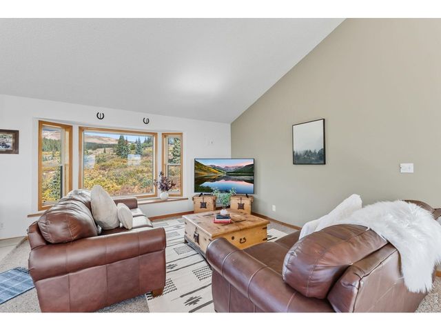 162 S Silk Sisters Pl, Fairplay, CO 80440