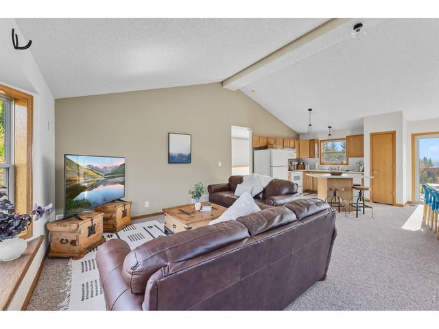 162 S Silk Sisters Pl, Fairplay, CO 80440