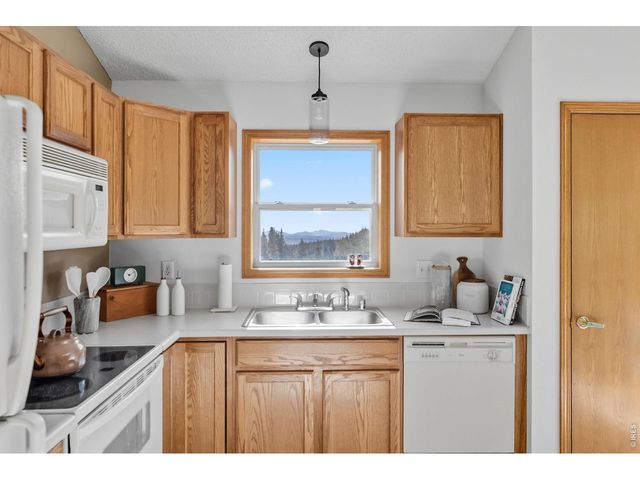 162 S Silk Sisters Pl, Fairplay, CO 80440