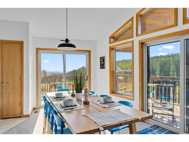 162 S Silk Sisters Pl, Fairplay, CO 80440