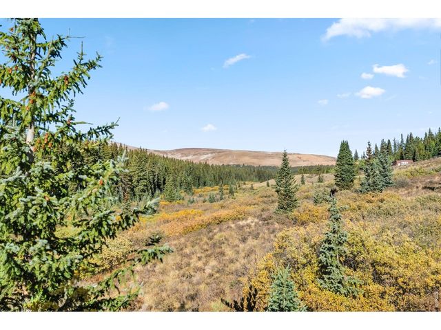 162 S Silk Sisters Pl, Fairplay, CO 80440