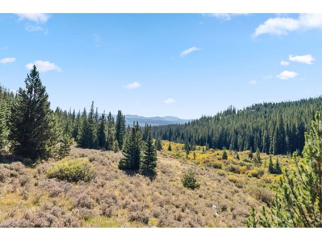 162 S Silk Sisters Pl, Fairplay, CO 80440